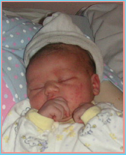 Meet Elizabeth Rose Holtom